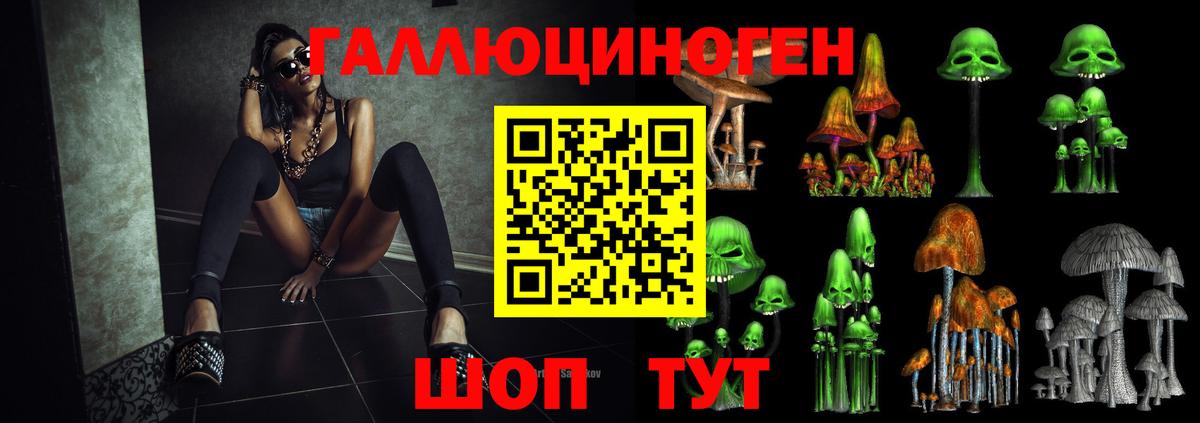 Новый Уренгой  Псилоцибиновые грибы Psilocybe  купить  цена  Вход с VPN 